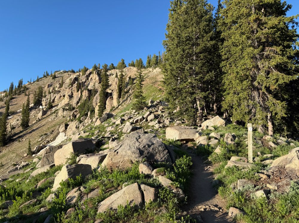Just above Catherine Pass
