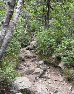 Bell Canyon rocky trail