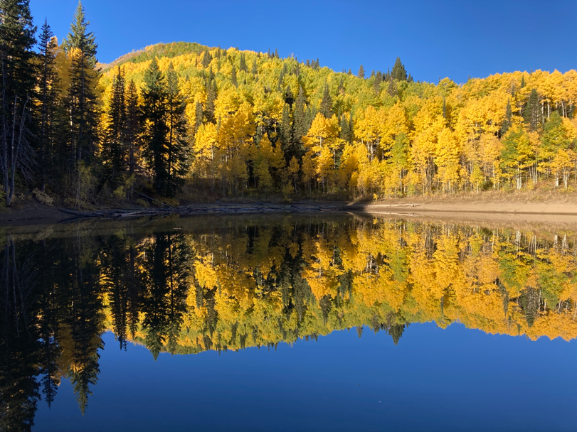 Dog Lake surrounded by trees with vibrant fall foliage, reflecting the colorful leaves and clear blue sky.