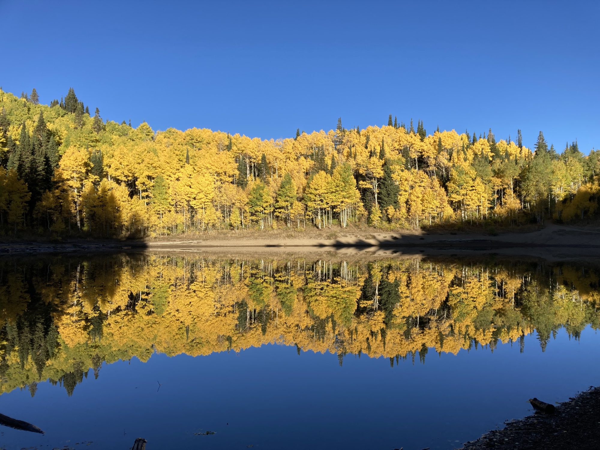 Dog Lake in the fall