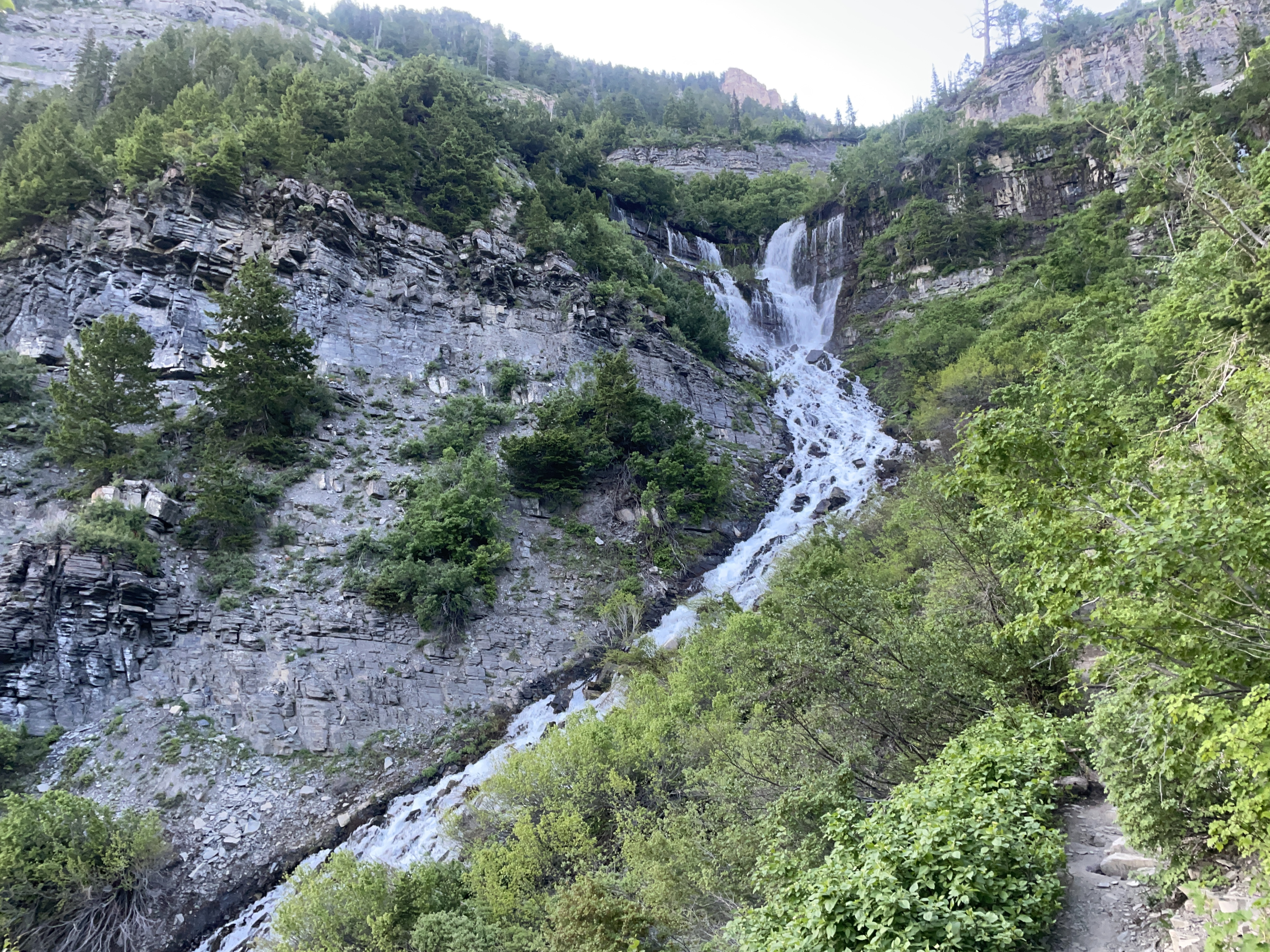 Scout Falls