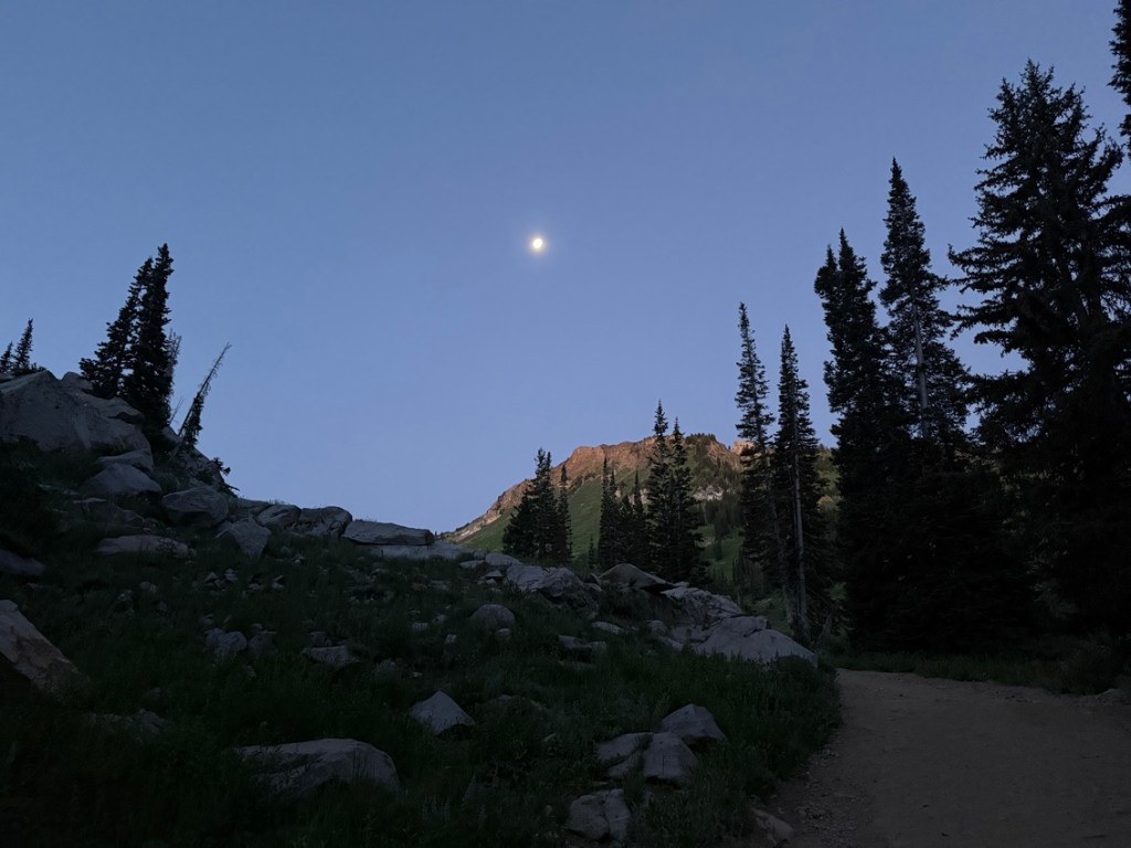 Alta trail in early morning