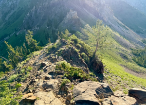 Looking down a ridge from Cardiff peak