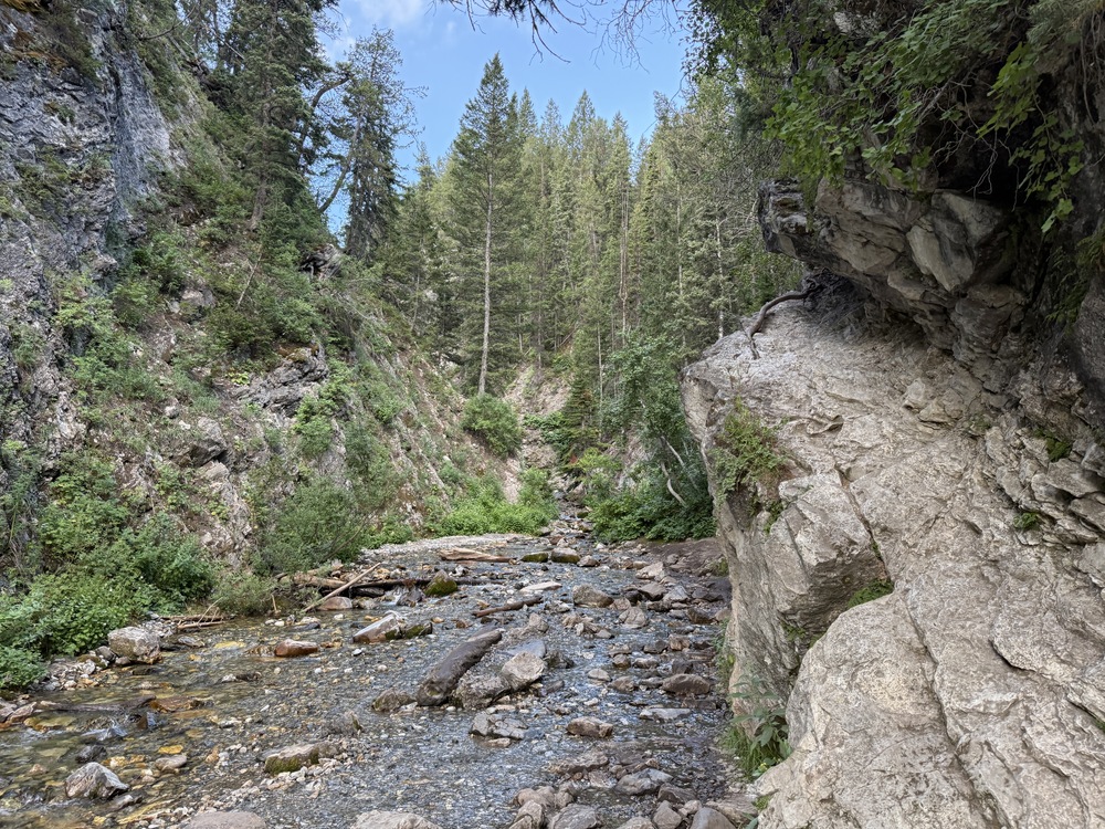 Creek almost to Donut Falls