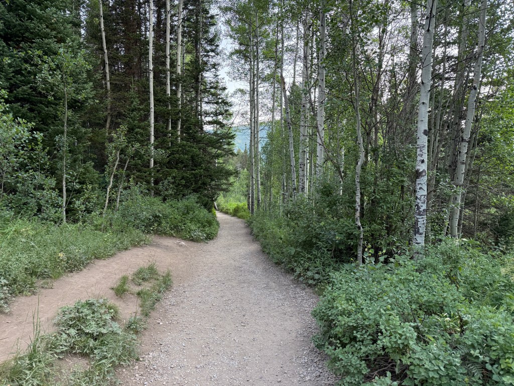 Looking down the Donut Falls trail