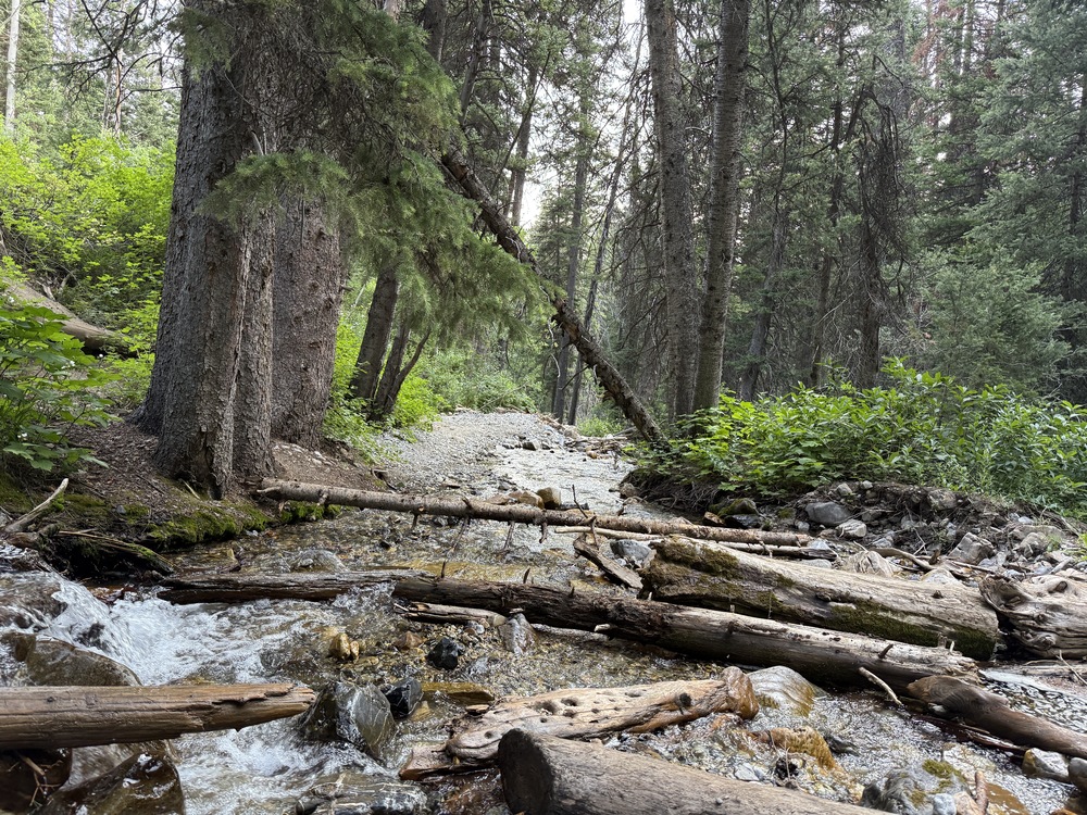 The creek below Donut Falls