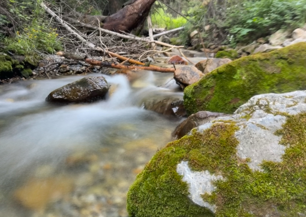 Mossy rocks in the creek below Donut Falls