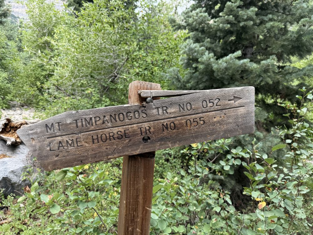 Mt Timpanogos trail sign