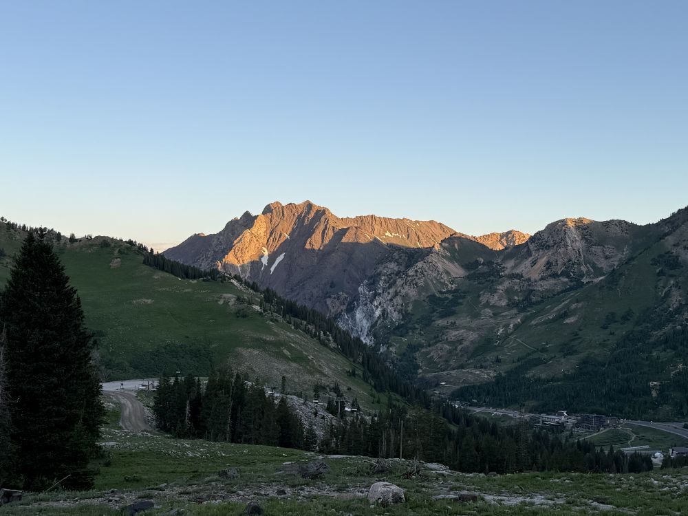 Mt. Superior from Alta