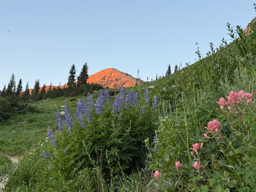Sugarloaf Peak in the early morning sun