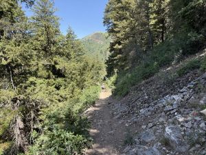 Part of the Desolation Lake Crest Trail