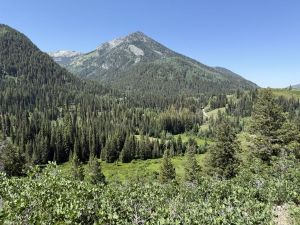 View of Kessler peak