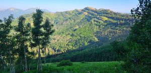 Morning view from Wasatch Crest Trail