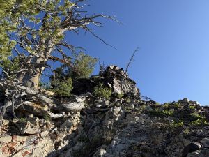 View from Cardiff Peak