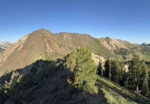 Mt. Superior from Cardiff Peak