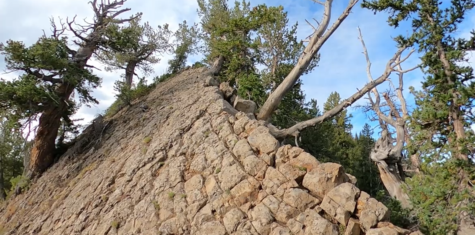Mt Rae Scramble First part of Mt Raymond scramble – Old Hiking Dude – Utah Hiking ...