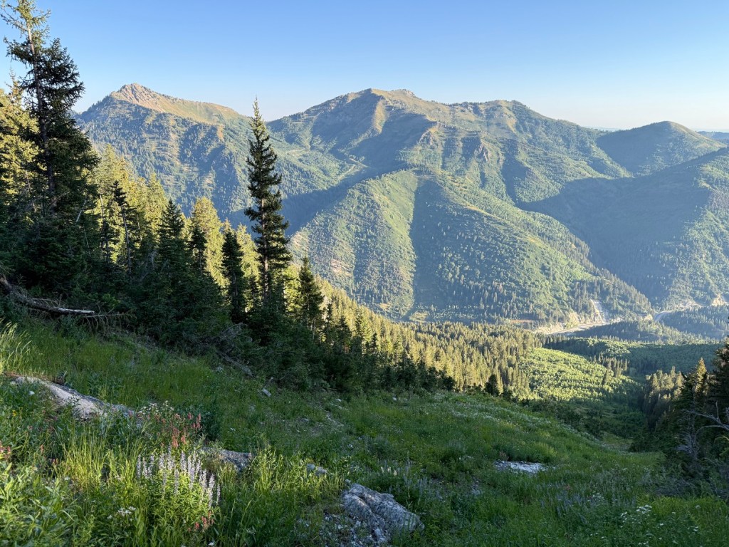 God's Lawnmower with Mt. Raymond and Gobblers Knob across the canyon