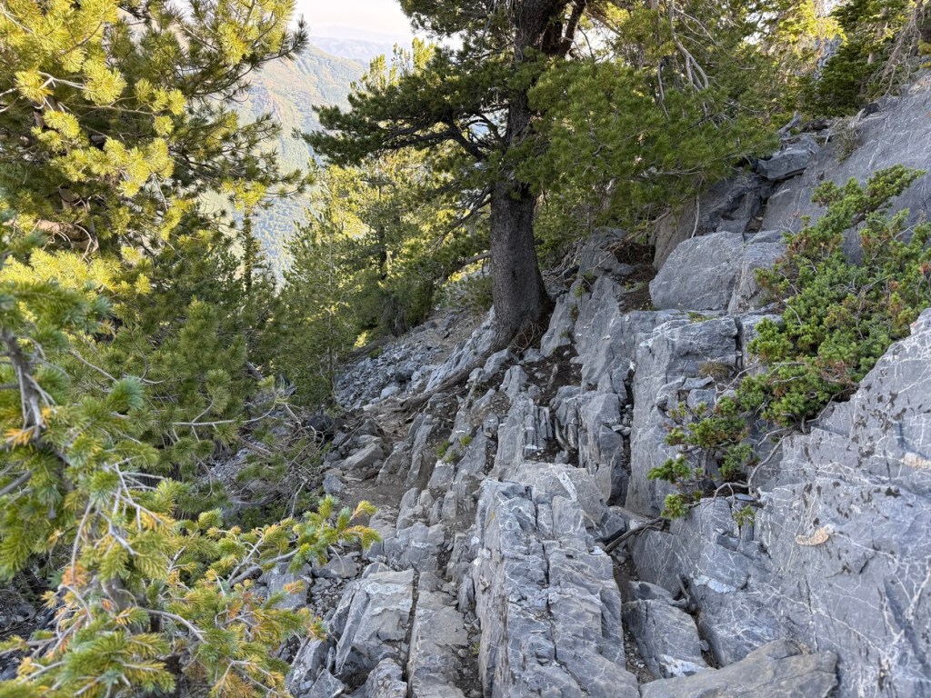 Rocky section higher up the Kessler Peak trail