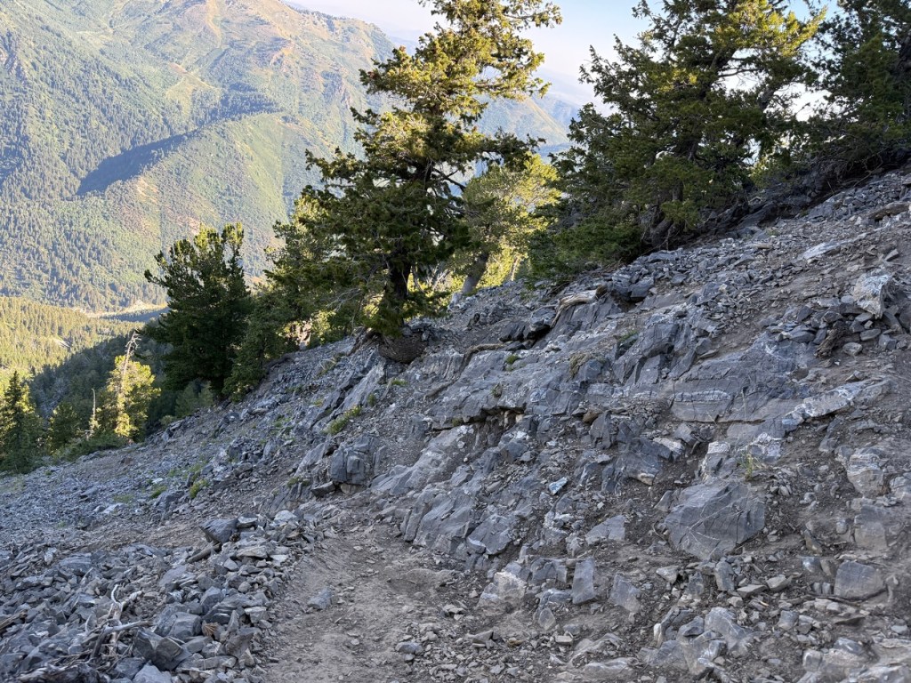 Getting steep higher up the Kessler Peak trail