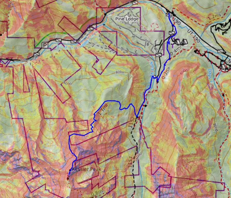 My Kessler Peak hike topo map - the blue line was my route