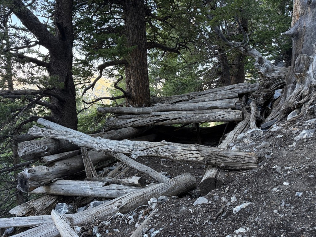 Kessler Peak miners cabin remains