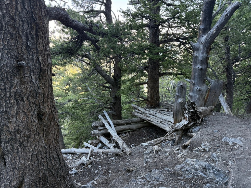 What is left of an old Kessler Peak miners cabin