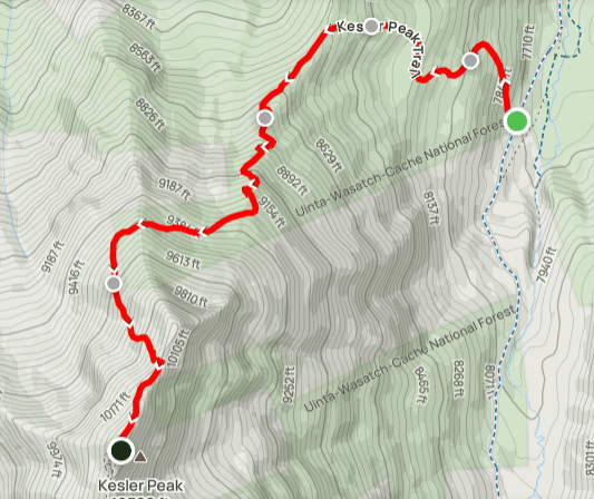 The 1.75 mile steep section to the summit of Kessler Peak