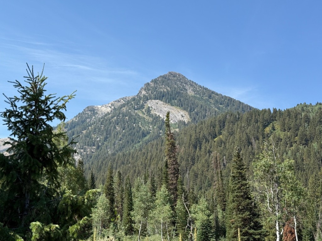 Kessler Peak, Utah