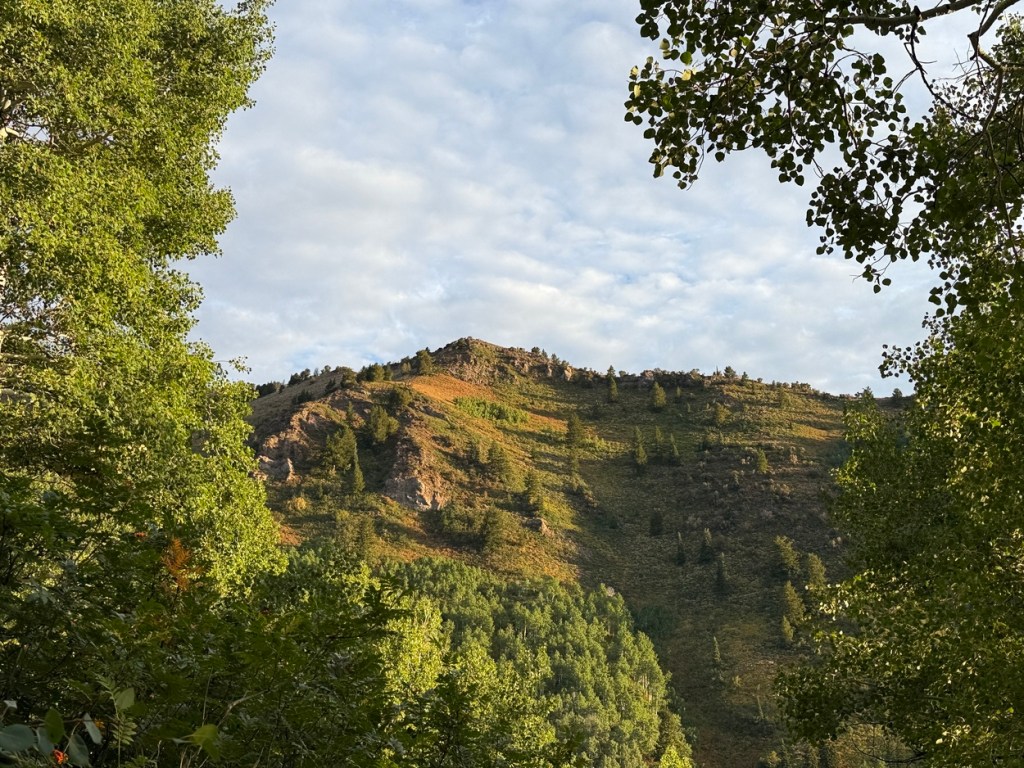 Looking toward Gobblers Knob