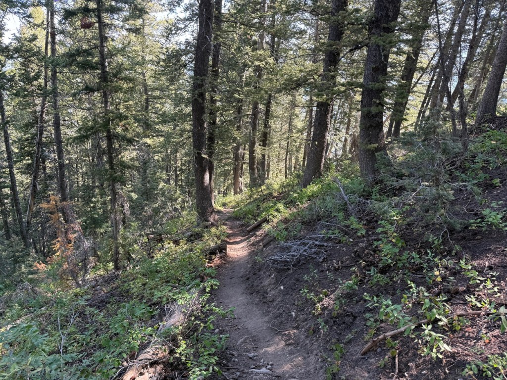 Lower part of the Kessler Peak trail