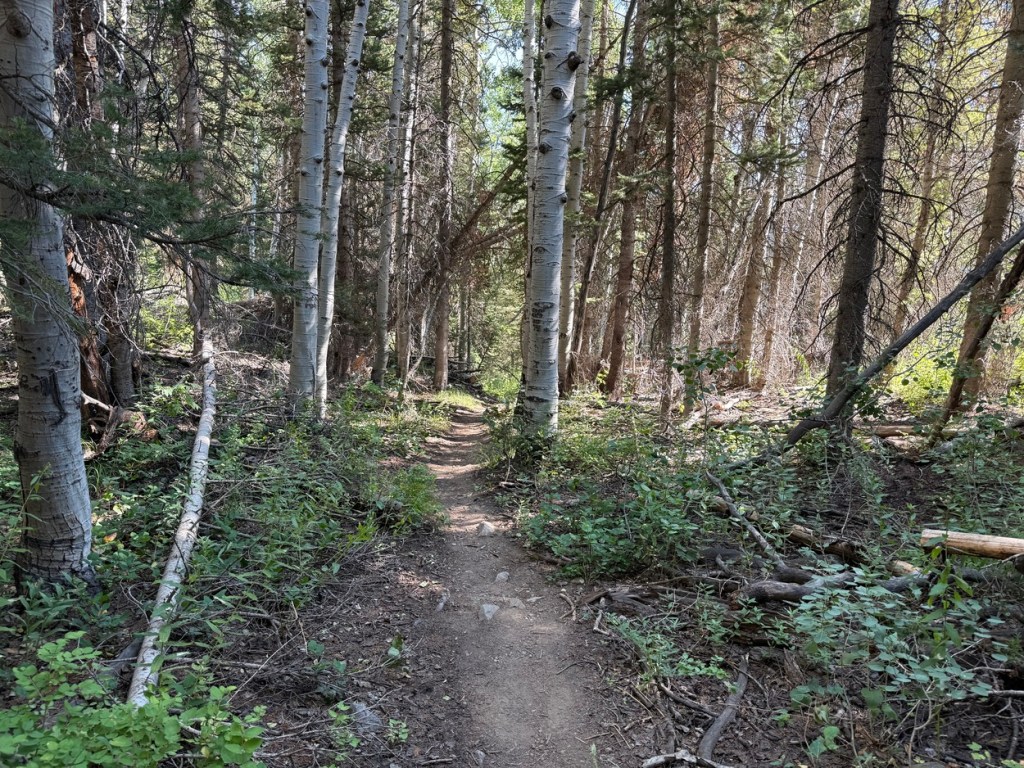 Lower part of the Kessler Peak Trail