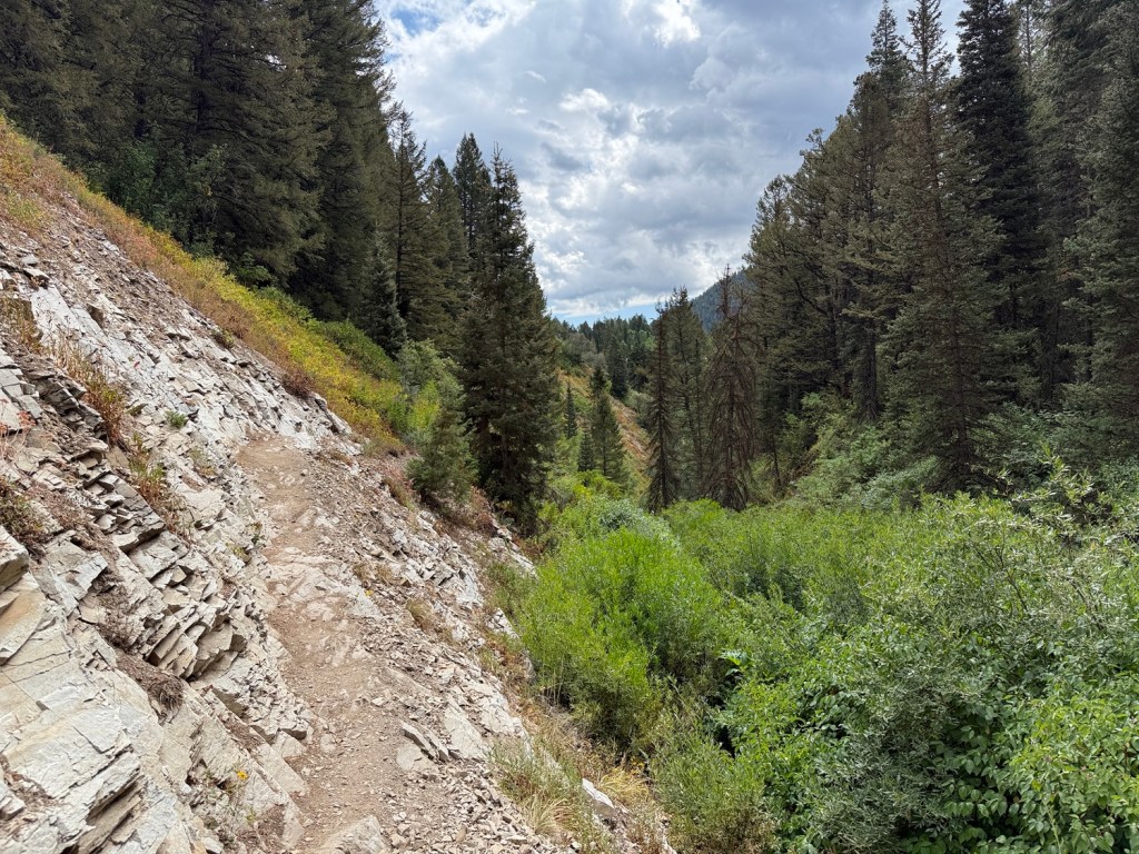 Early into the hike to Mt. Raymond