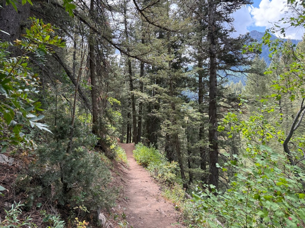 Easy part of the trail up to Mt. Raymond