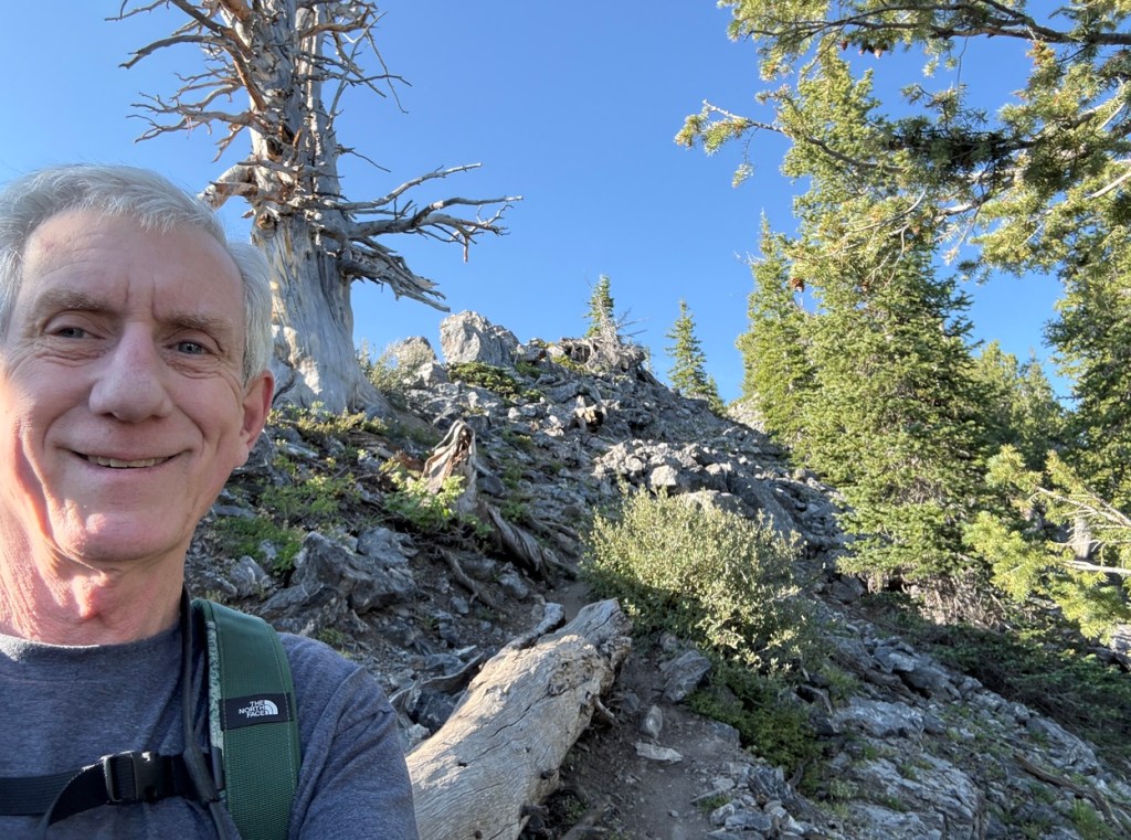 Old Hiking Dude with sentinel tree on Kessler Peak trail
