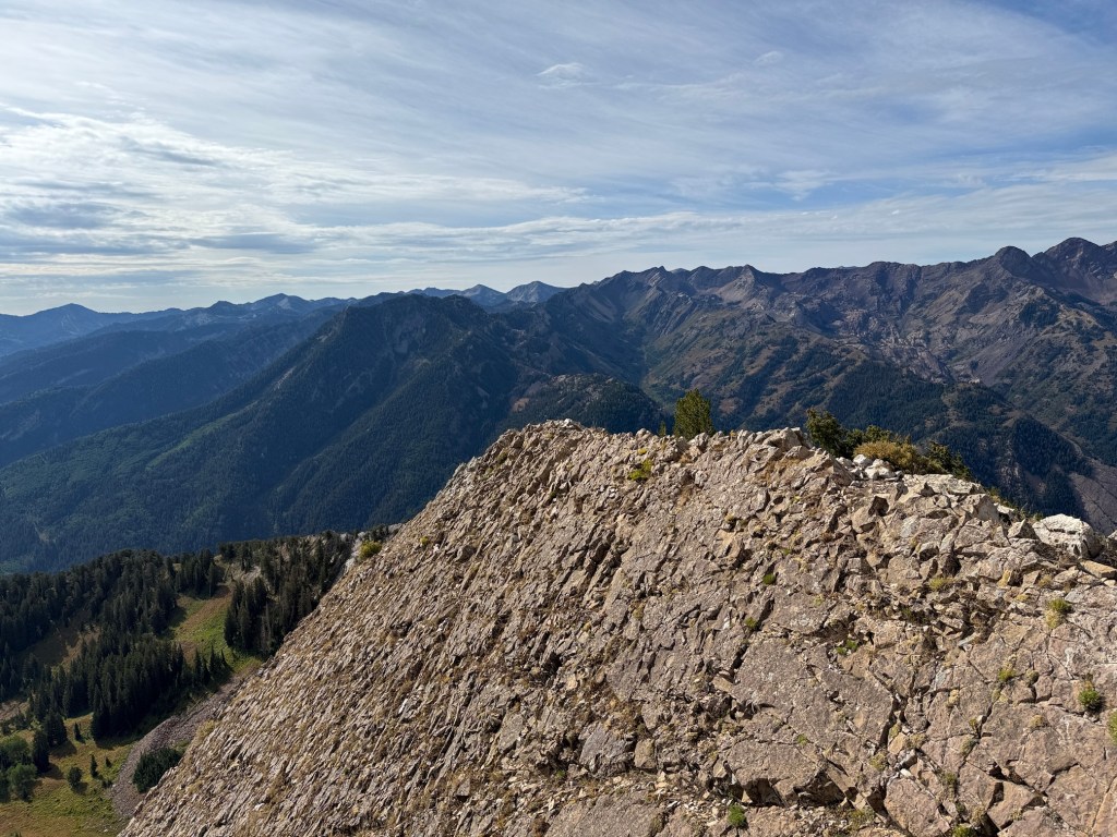 Ridge on the summit of Mt Raymond