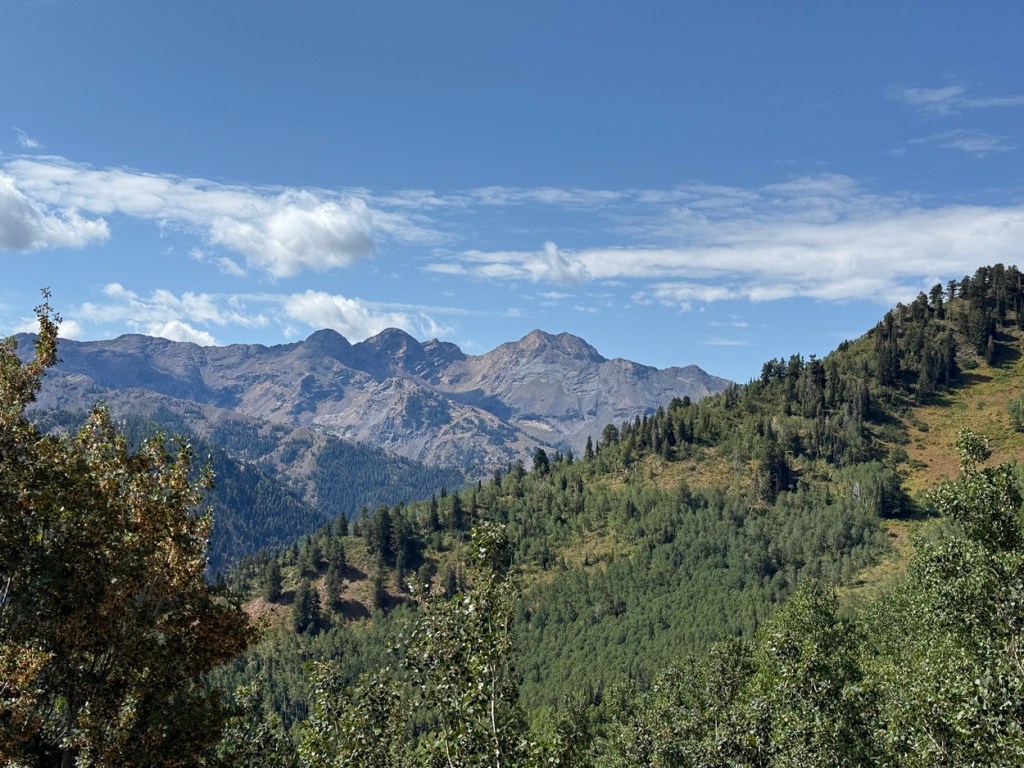 View from trail to Mt Raymond