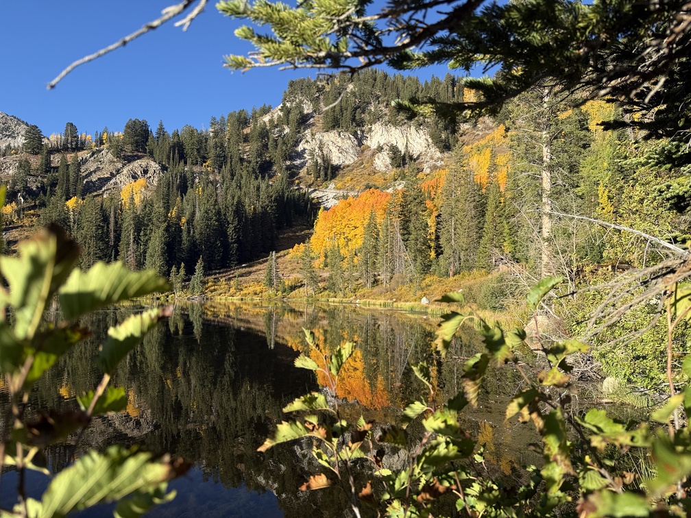 A peek through the branches of Silver Lake in the fall