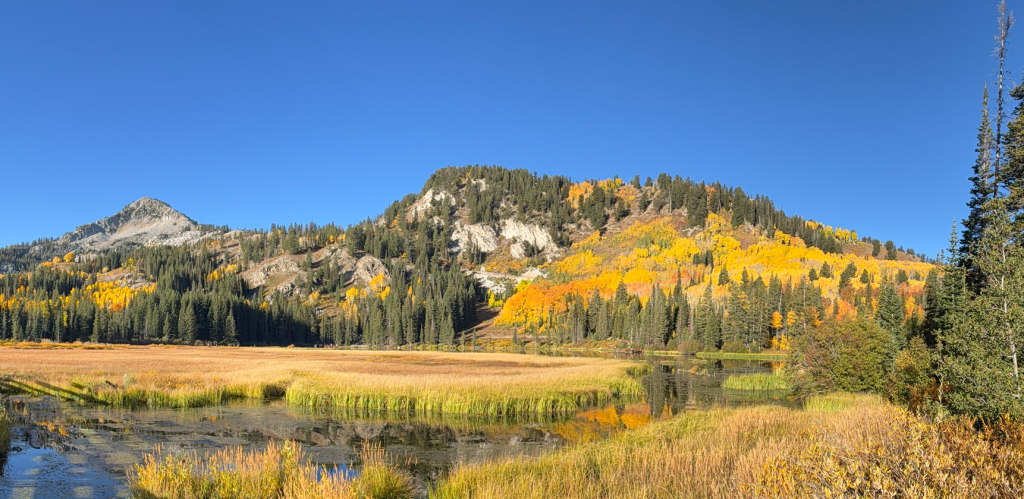 Marsh grass below mountains at Silver Lake