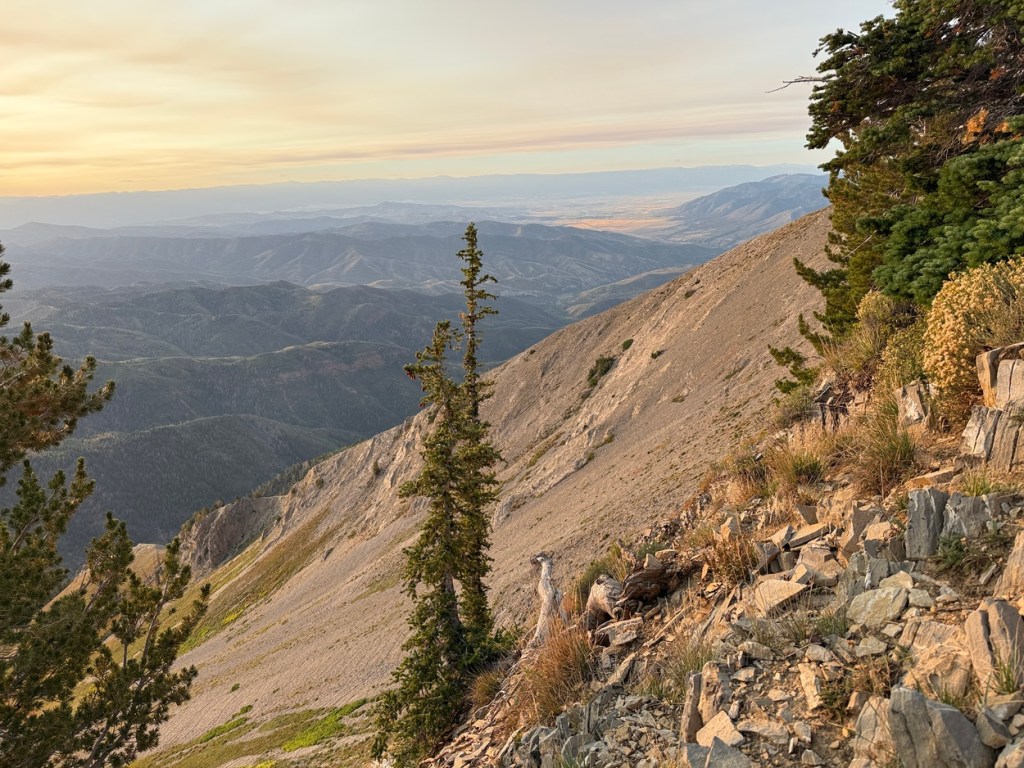 View on the way up Nebo false summit