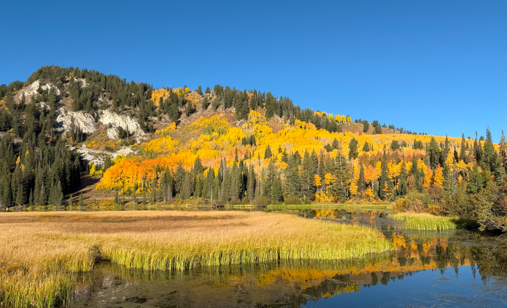 Amazing fall color at Silver Lake