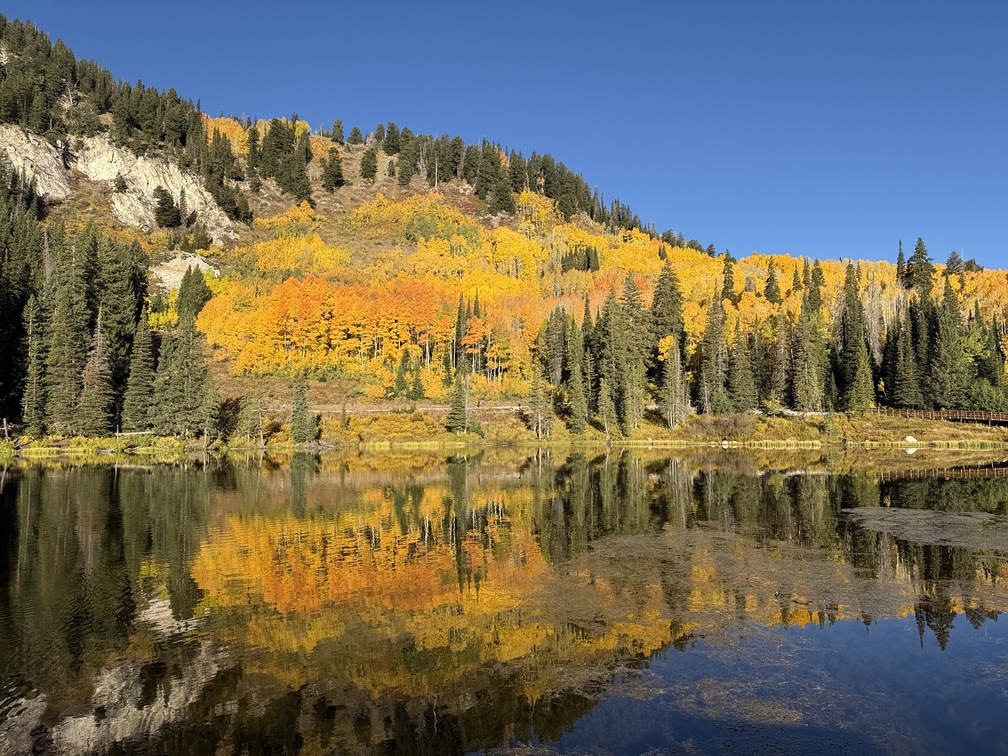 Awesome fall colors reflecting off Silver Lake Utah