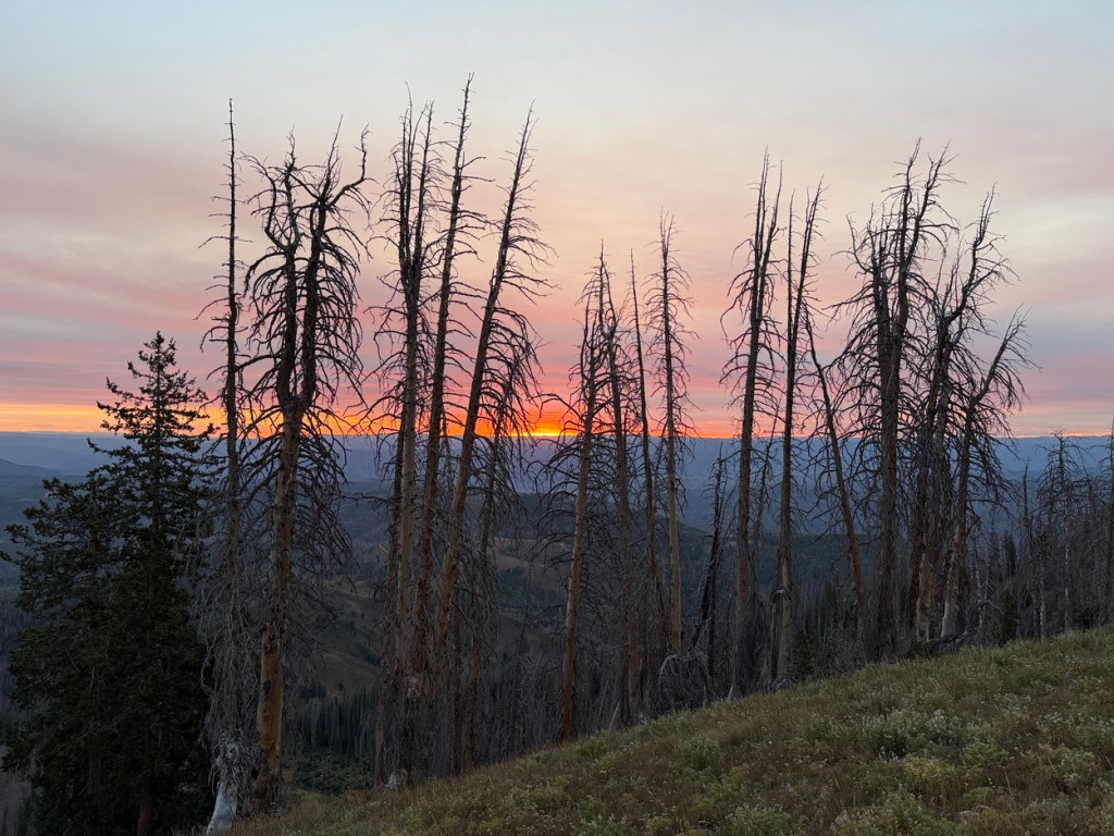 Almost sunrise on the Mt. Nebo trail