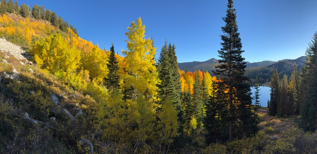 Brilliant fall color above Silver Lake Utah