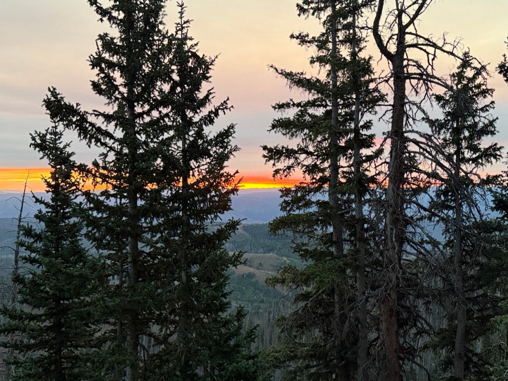 Dawn through the trees on the Mt. Nebo trail