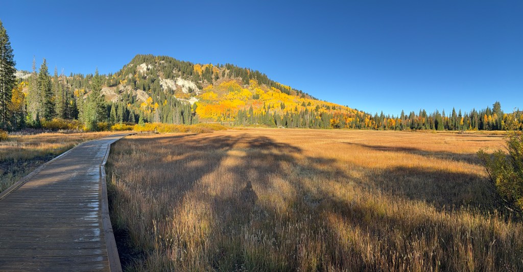 Wooden walkway at Silver Lake Utah