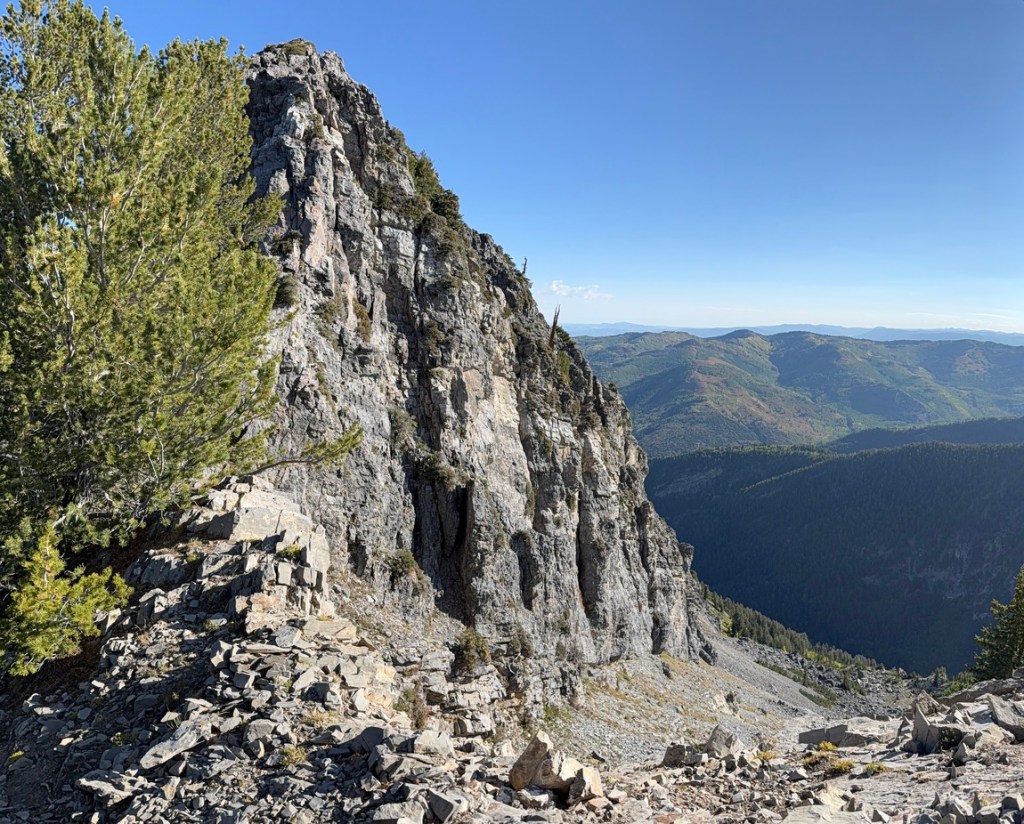 Avalanche chute below the Kessler Peak summit
