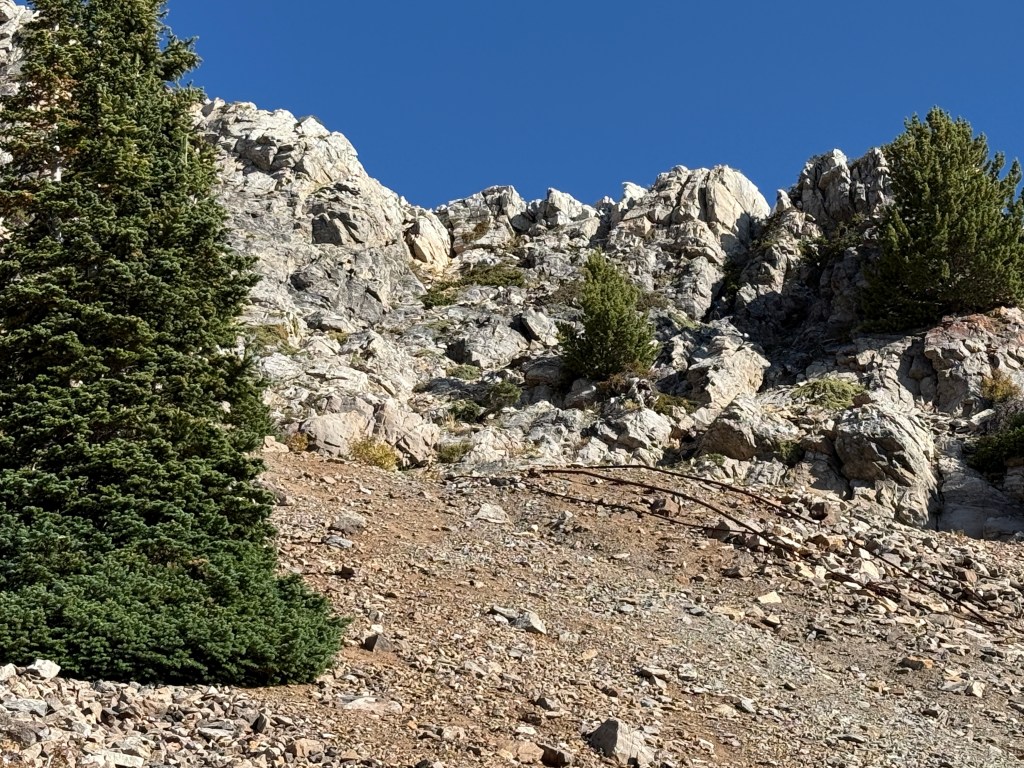 Carbonite Mine Homeward Bound Tunnel dump remains