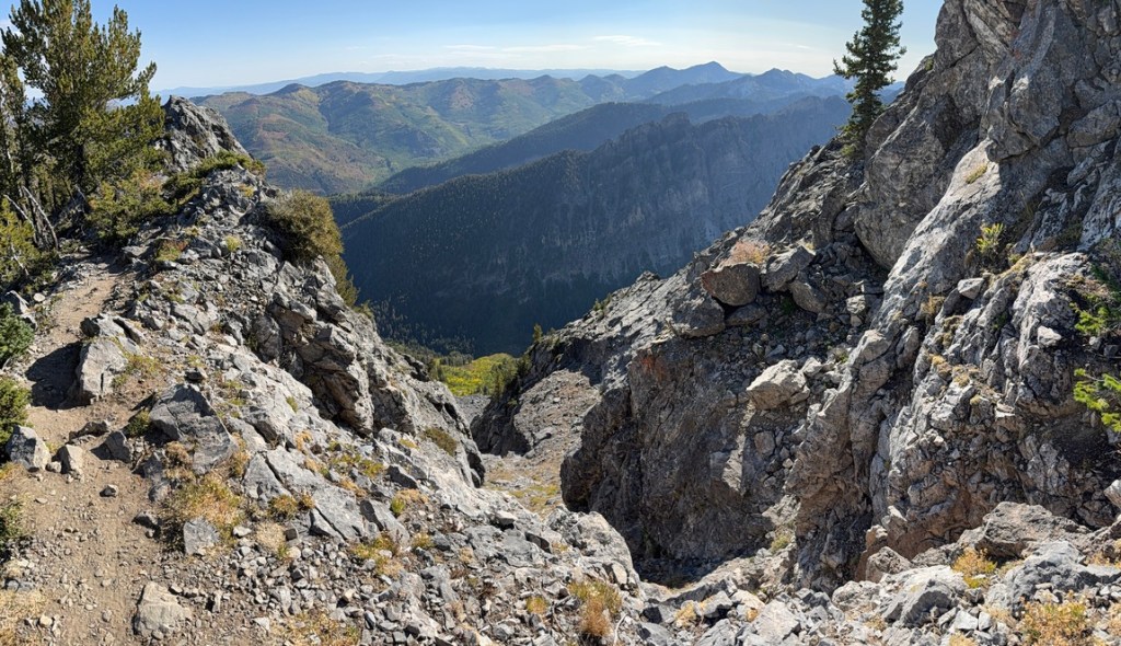 Culior just below the Kessler peak summit