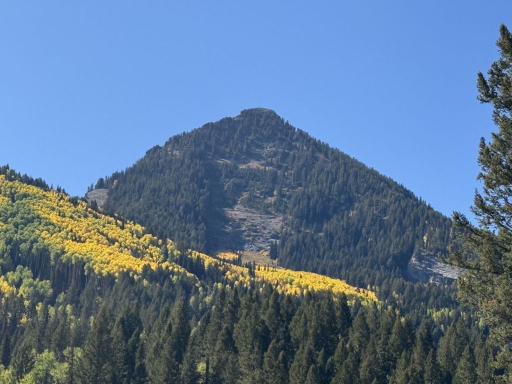God's Lawnmower from below with fall colors