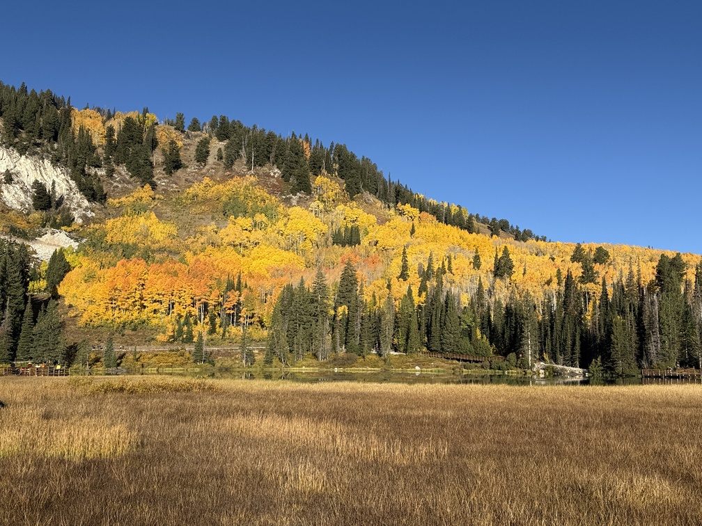 Fall color at Silver Lake Utah